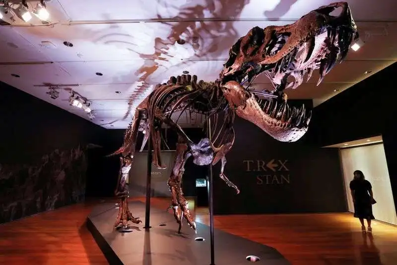 t rex 5