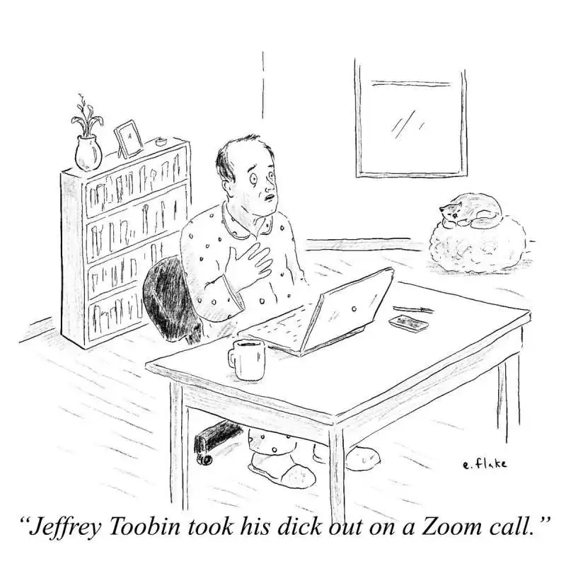 vignette del new yorker con didascalia 'jeffrey tobin ha tirato fuori il cazzo su zoom' 6