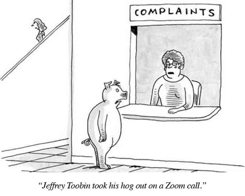 vignette del new yorker con didascalia 'jeffrey tobin ha tirato fuori il cazzo su zoom' 5