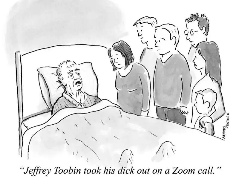 vignette del new yorker con didascalia 'jeffrey tobin ha tirato fuori il cazzo su zoom' 3