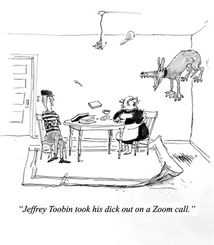 vignette del new yorker con didascalia 'jeffrey tobin ha tirato fuori il cazzo su zoom' 2