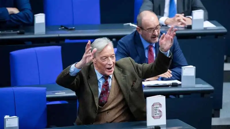 afd in parlamento 2