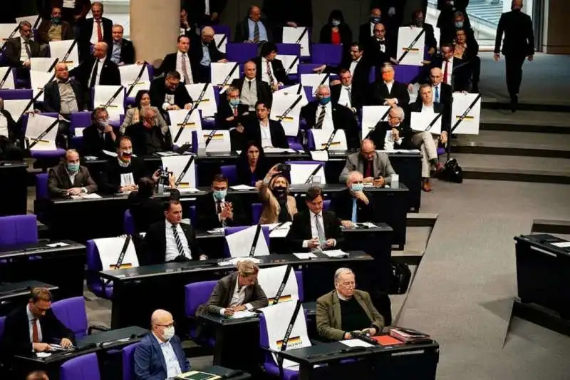 afd in parlamento 4