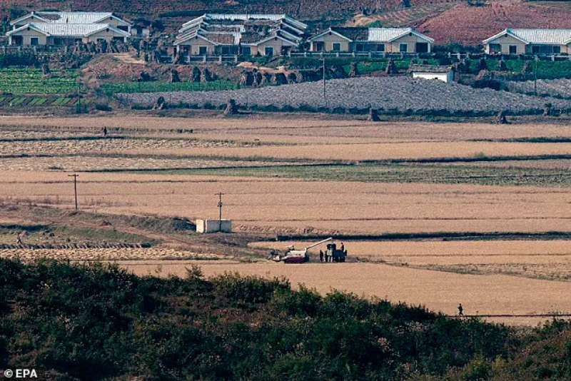 Agricoltura in Nord corea