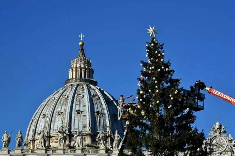 albero e presepe a san pietro 1