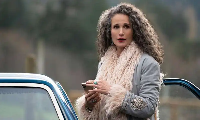 andie macdowell   maid 