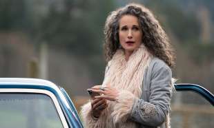 andie macdowell maid