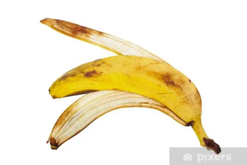 buccia di banana2