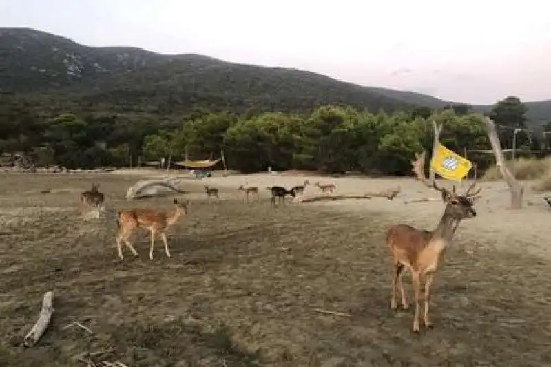 cala di forno in toscana 3