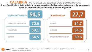 calabria voto delle categorie socio demografiche