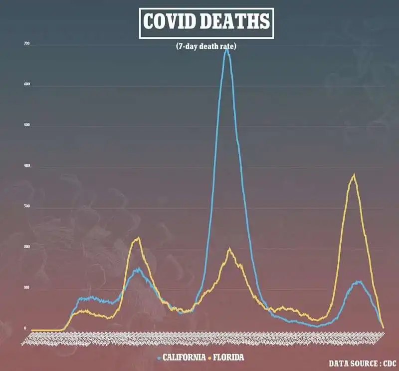 California e Florida a confronto 2
