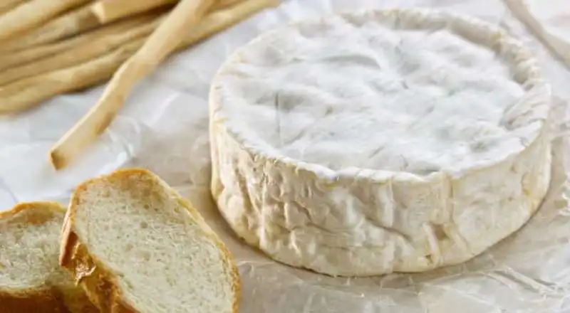 camembert 2