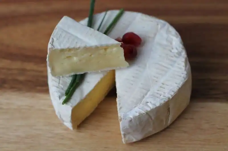 camembert 8