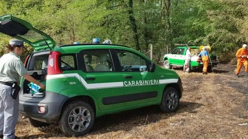 carabinieri forestali 