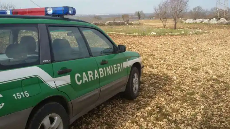 carabinieri forestali 