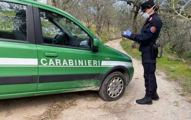 carabinieri forestali 2