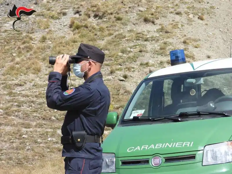 carabinieri forestali 3