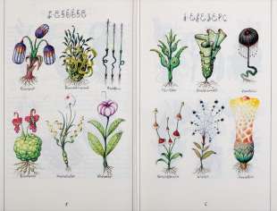 CODEX SERAPHINIANUS