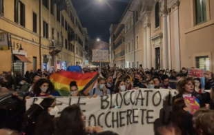 ddl zan manifestazione