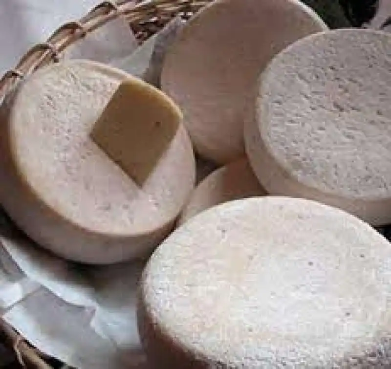 formaggio capre apuane