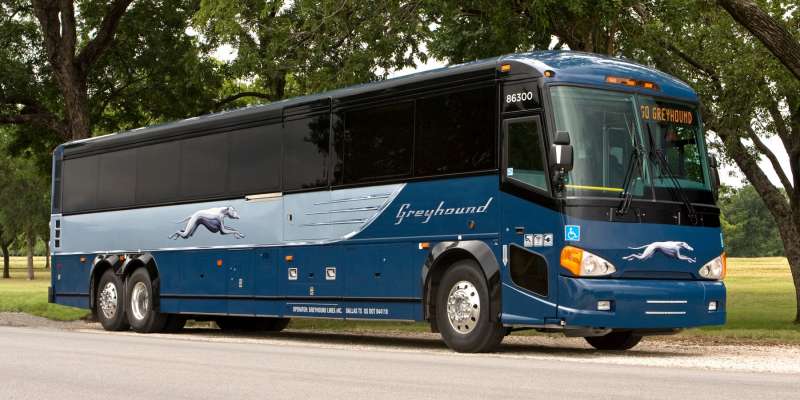 Greyhound Bus