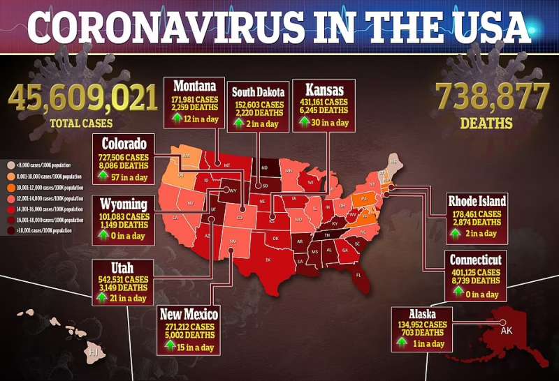 Il coronavirus negli Usa