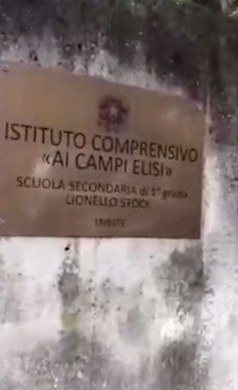 lacrimogeno in una scuola a trieste 1