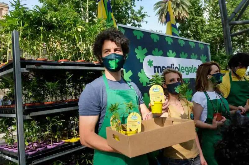 mattia santori con le piantine di marijuana