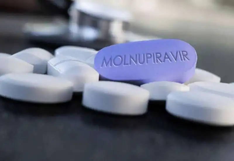 molnupiravir 