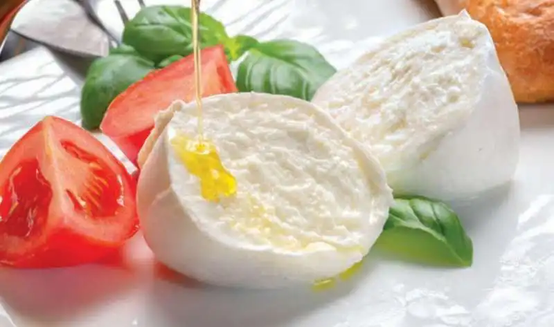 mozzarella 6