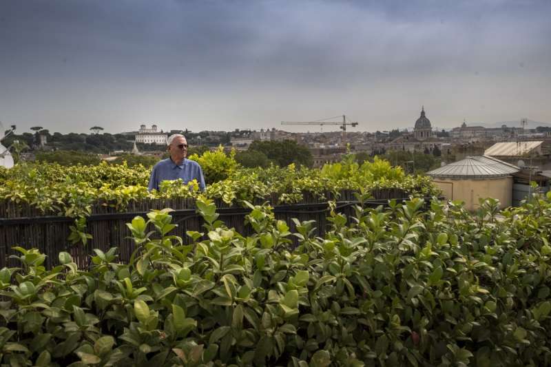 pablo echaurren ph francesca fago 4