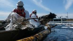 petrolio in mare in california 7