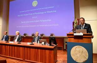 premio nobel per la medicina 2021 4