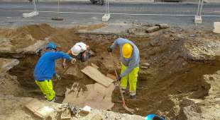 ritrovamento scheletro cavallo a ostia 3