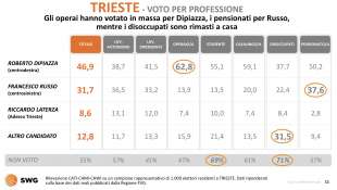 trieste voto per professione