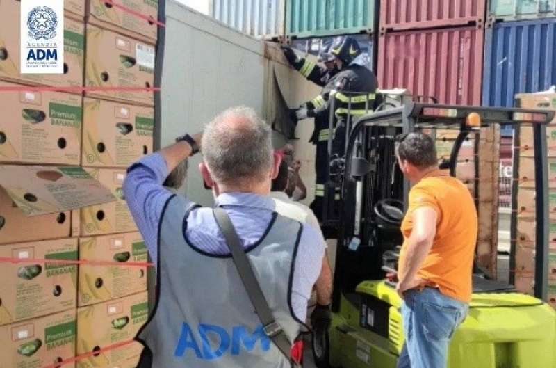 cocaina nei container di frutta a catania 2