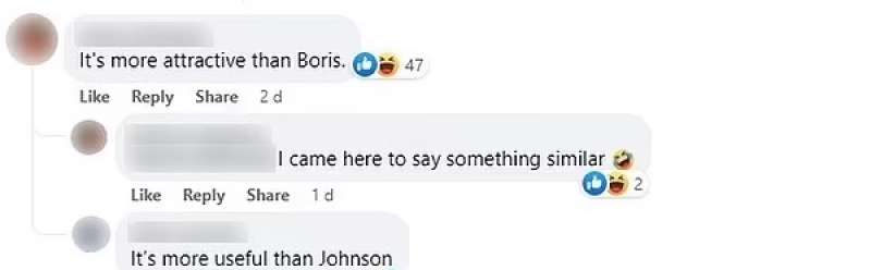 commenti al pollo al curry che somiglia a boris johnson