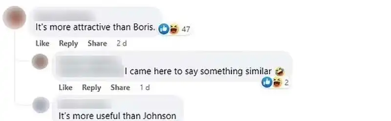 commenti al pollo al curry che somiglia a boris johnson  