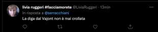 commenti al tweet di debora serracchiani sul vajont 1