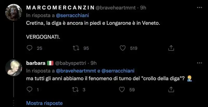 commenti al tweet di debora serracchiani sul vajont    9