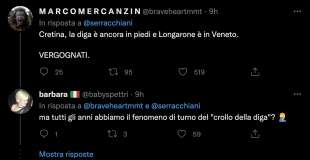 commenti al tweet di debora serracchiani sul vajont 9