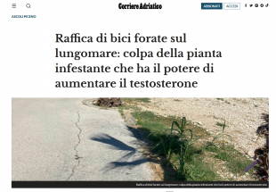 Corriere Adriatico, forature e testosterone