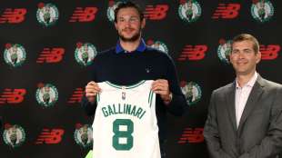 danilo gallinari 1