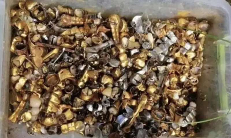 DENTI ORO DAI CADAVERI IN UCRAINA