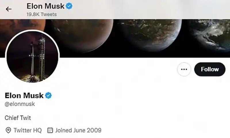 elon musk diventa chief twit 