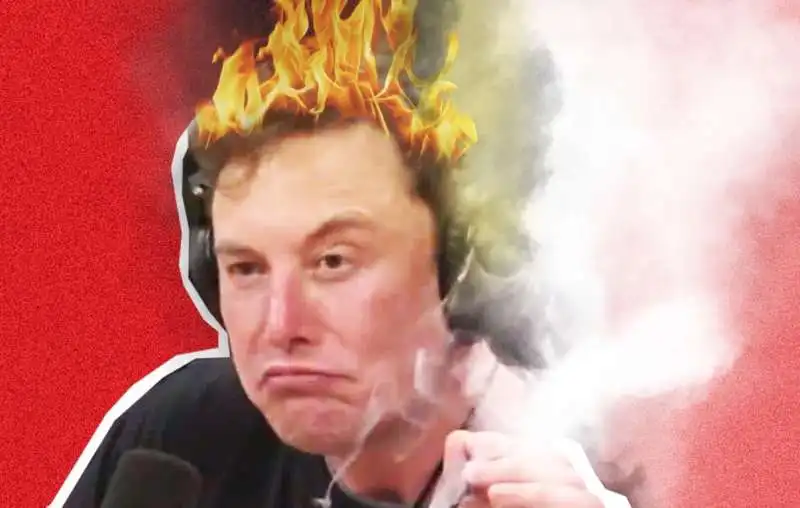 elon musk profumo burnt hair 4