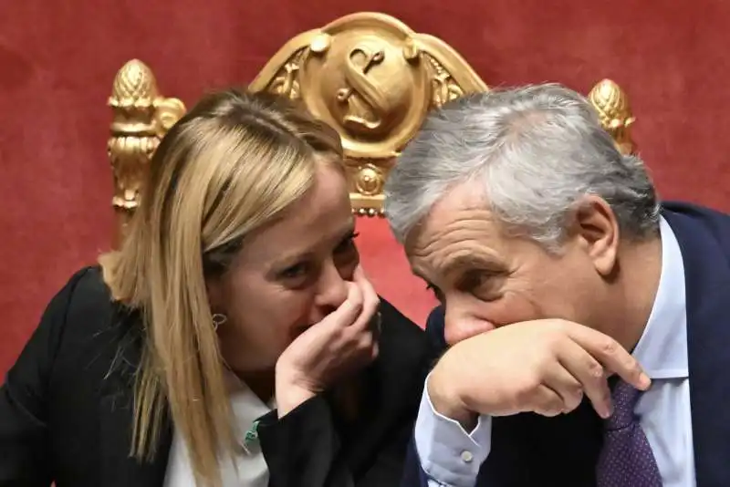 giorgia meloni  antonio tajani    