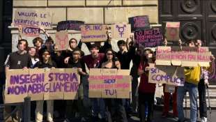 LA PROTESTE DEGLI STUDENTI DEL LICEO PLINIO SENIORE DI ROMA - COLLETTIVO 20 NOVEMBRE