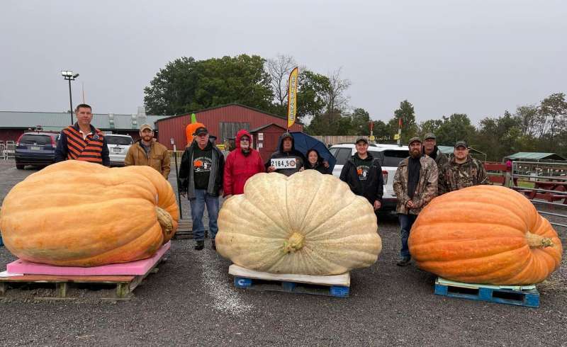 LA ZUCCA DA 1161 CHILOGRAMMI