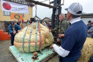 LA ZUCCA DA 1161 CHILOGRAMMI